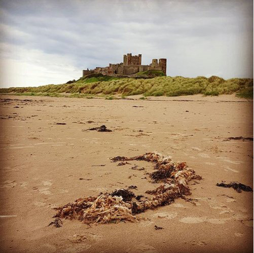 Instagram at the seaside
