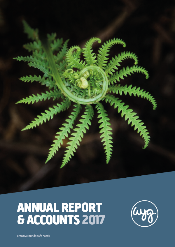 WYG Annual Report & Accounts 2017