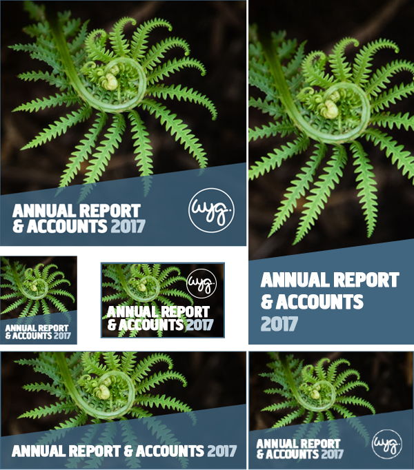 WYG Annual Report & Accounts 2017